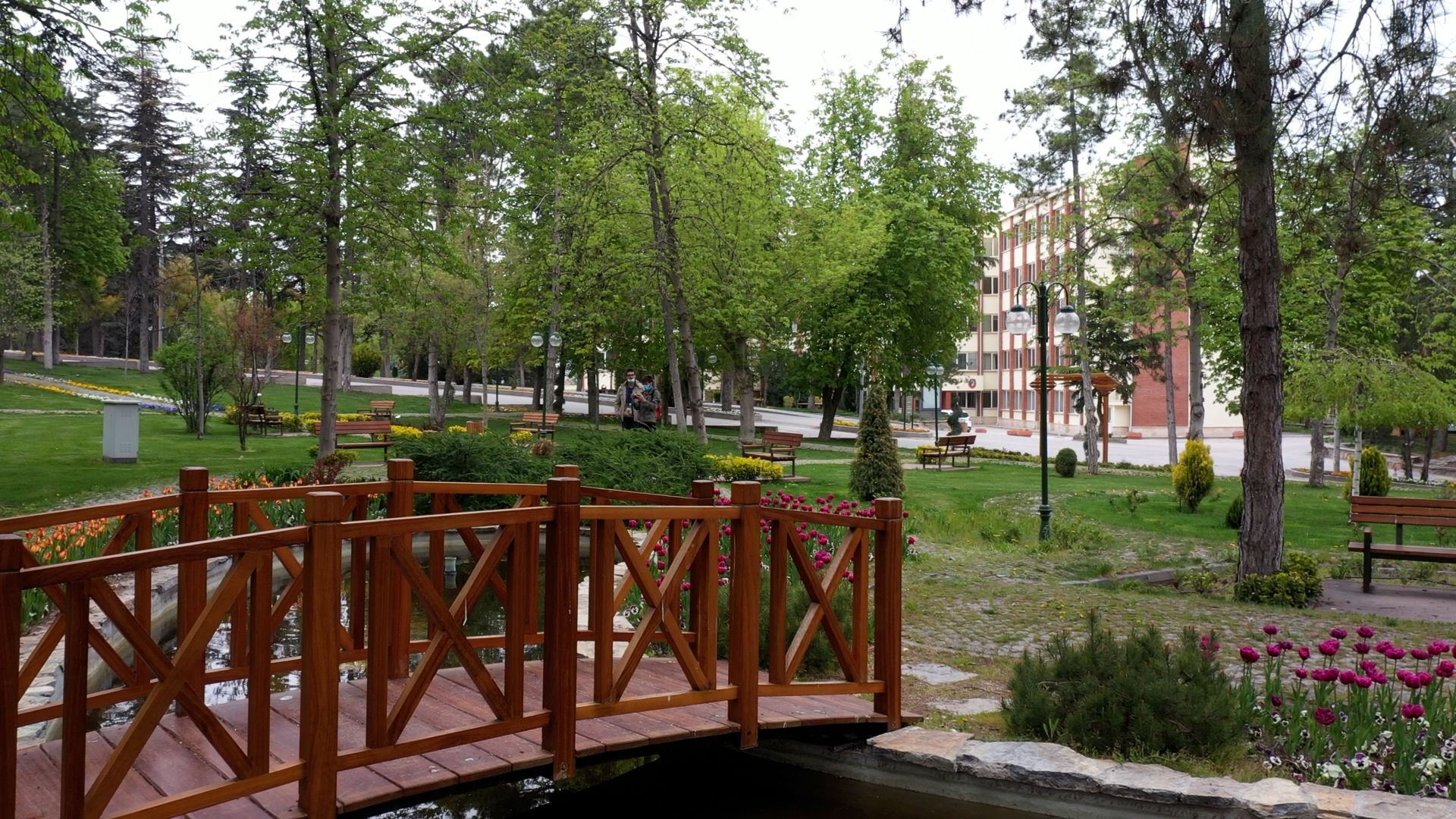 ANADOLU ÜNİVERSİTESİ DRONE JPG (38).jpg