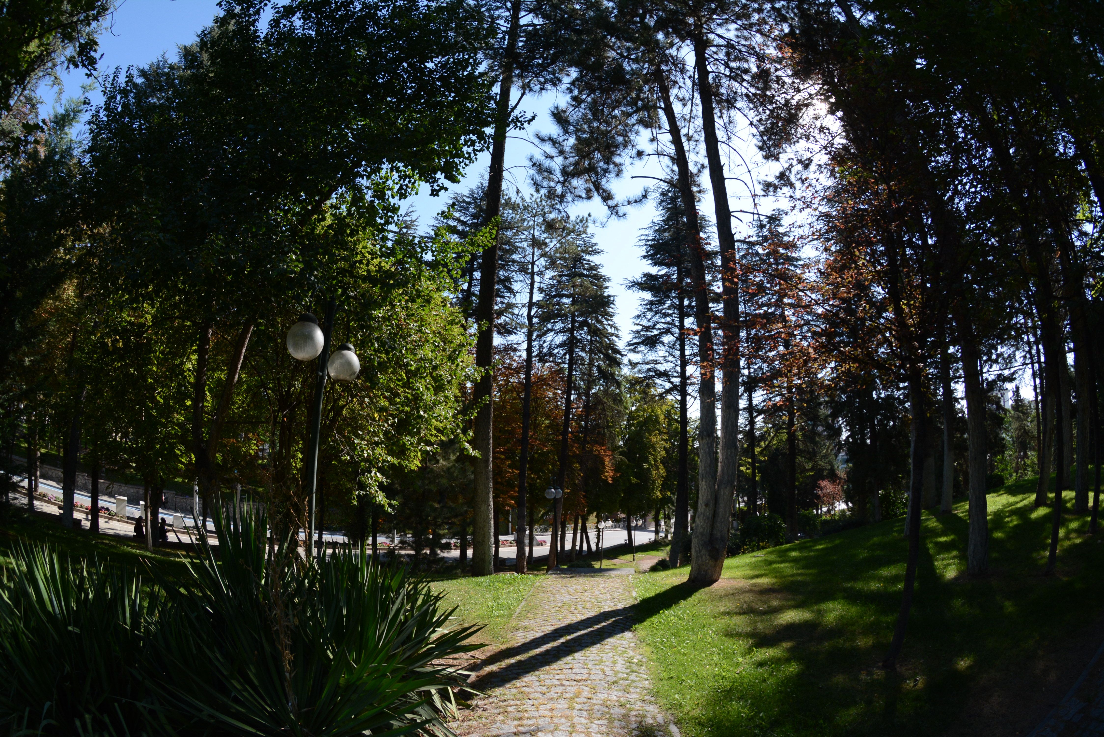 DSC_2563.JPG
