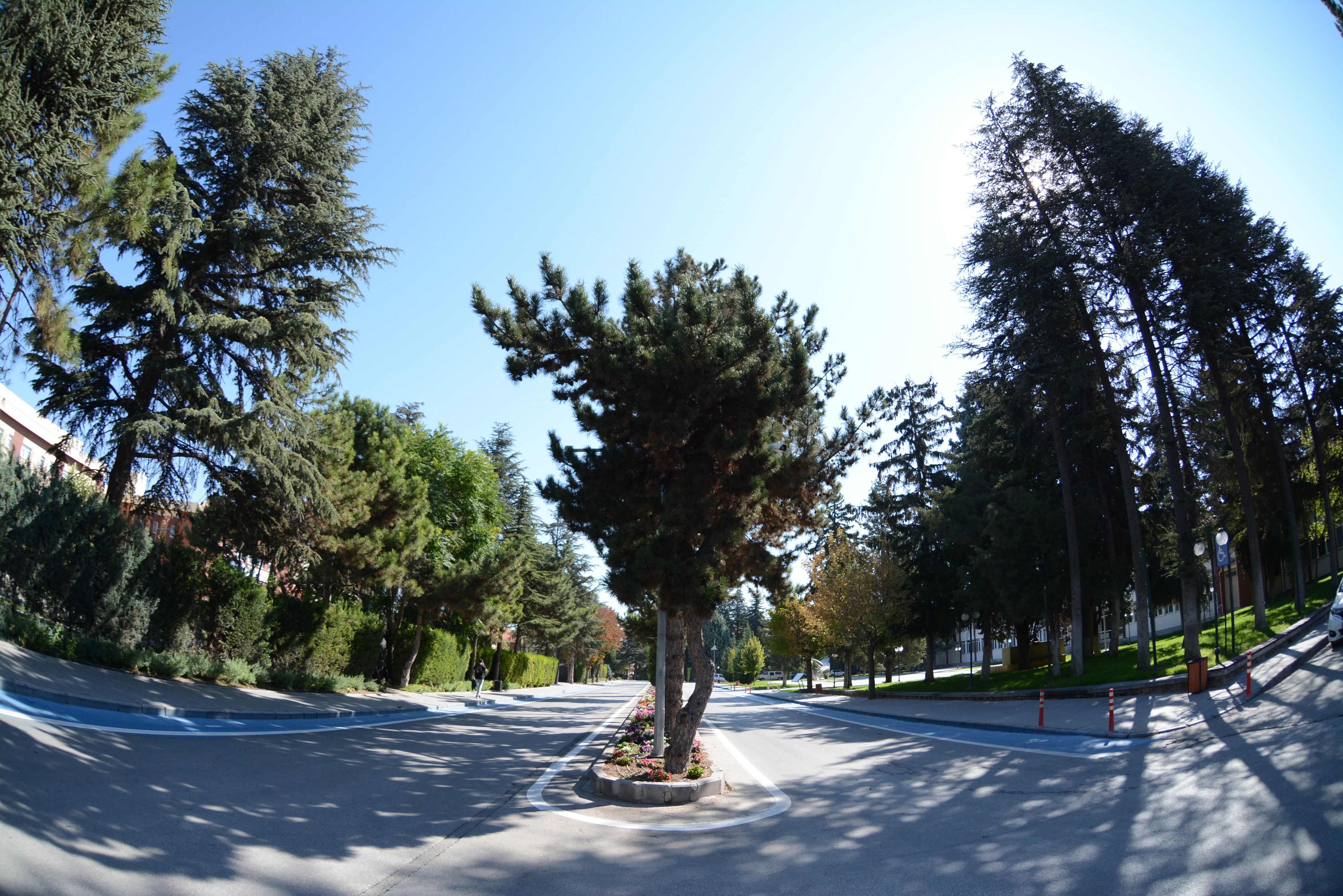 DSC_2669.JPG