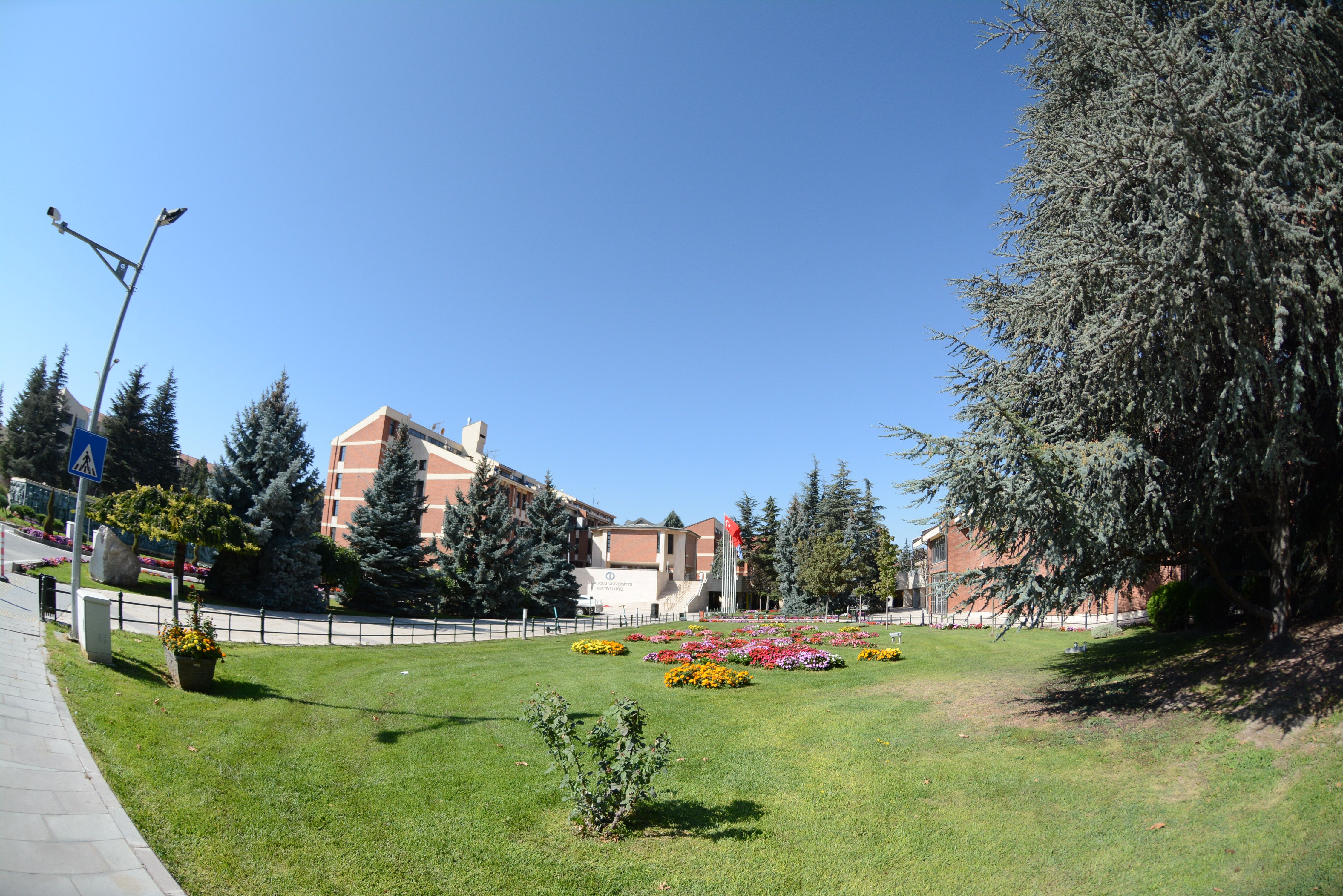 DSC_2679.JPG