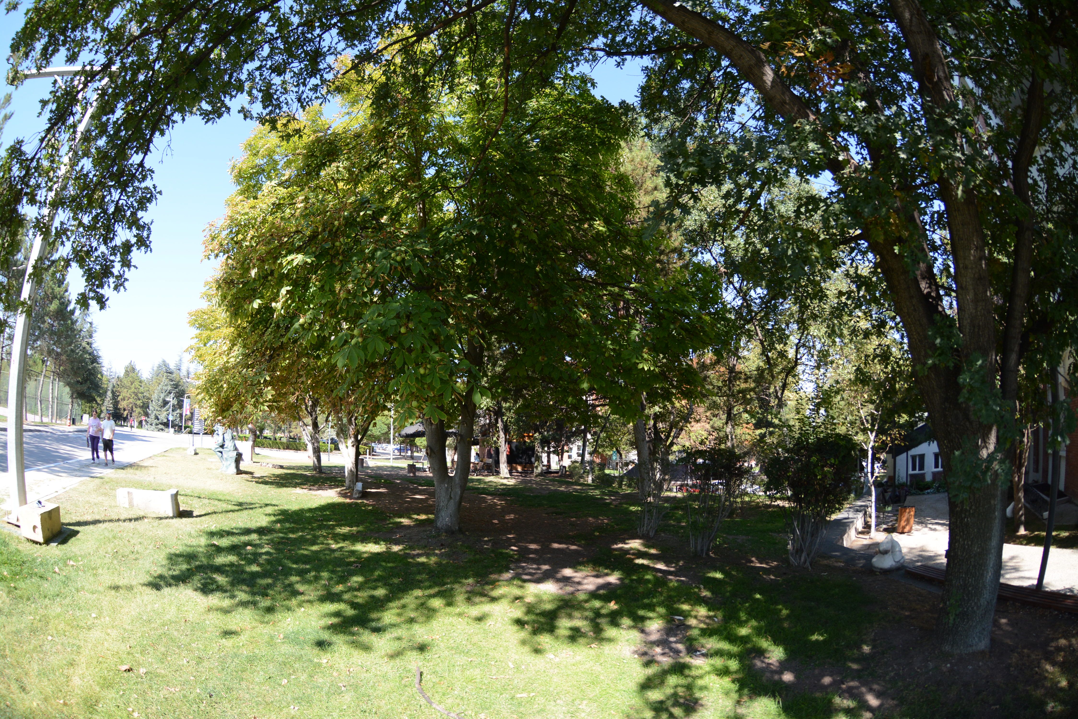 DSC_2733.JPG