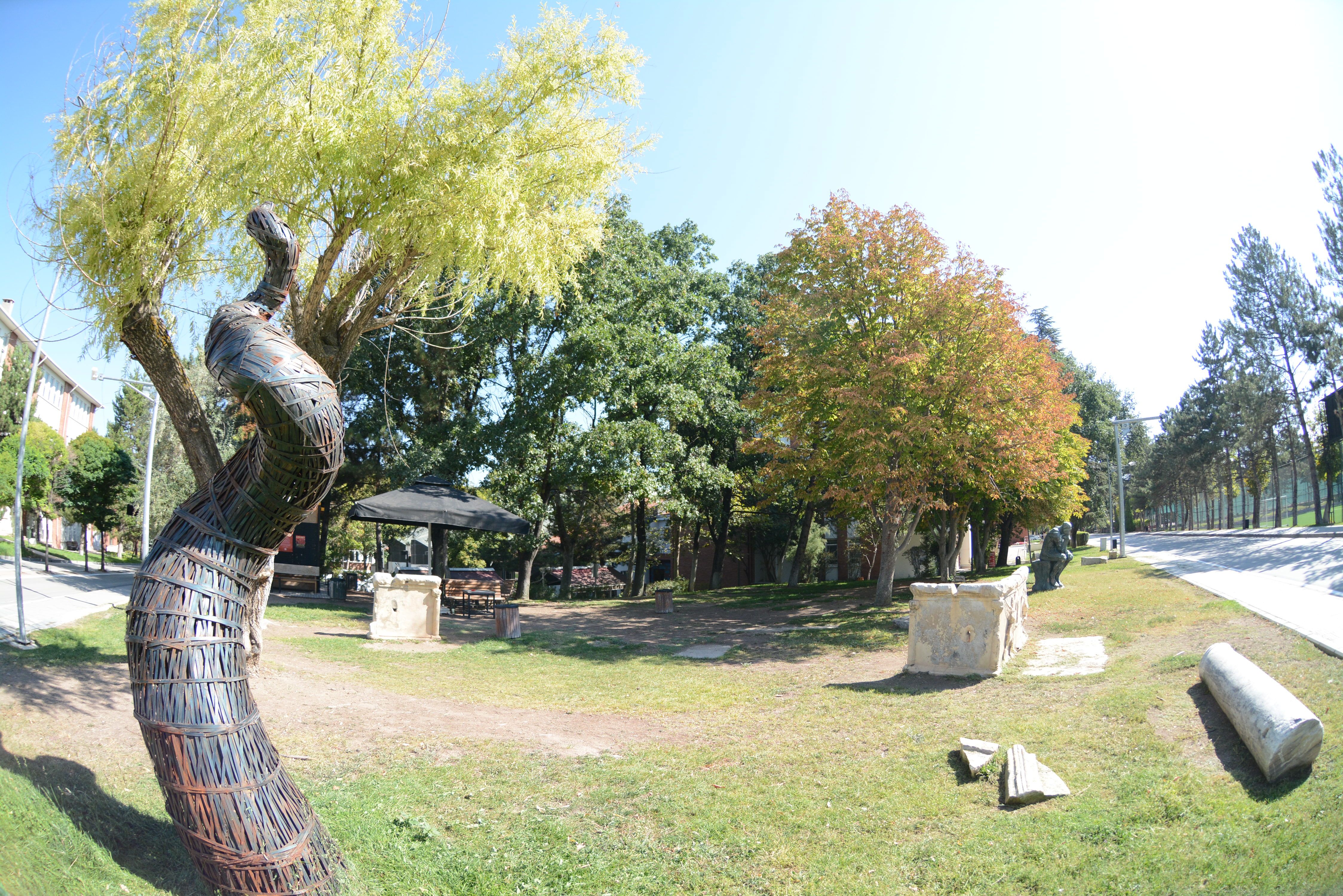 DSC_2757.JPG