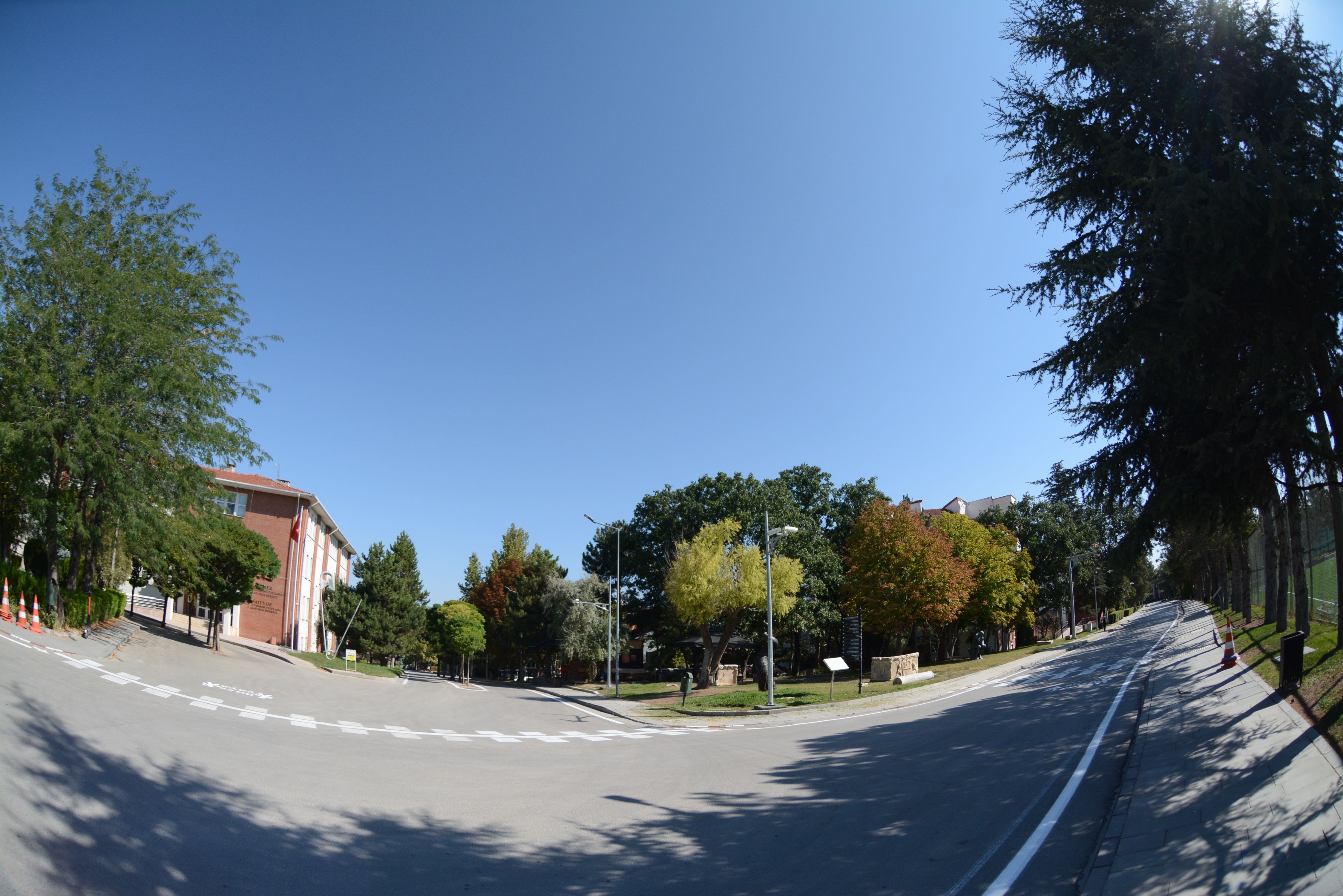 DSC_2768.JPG
