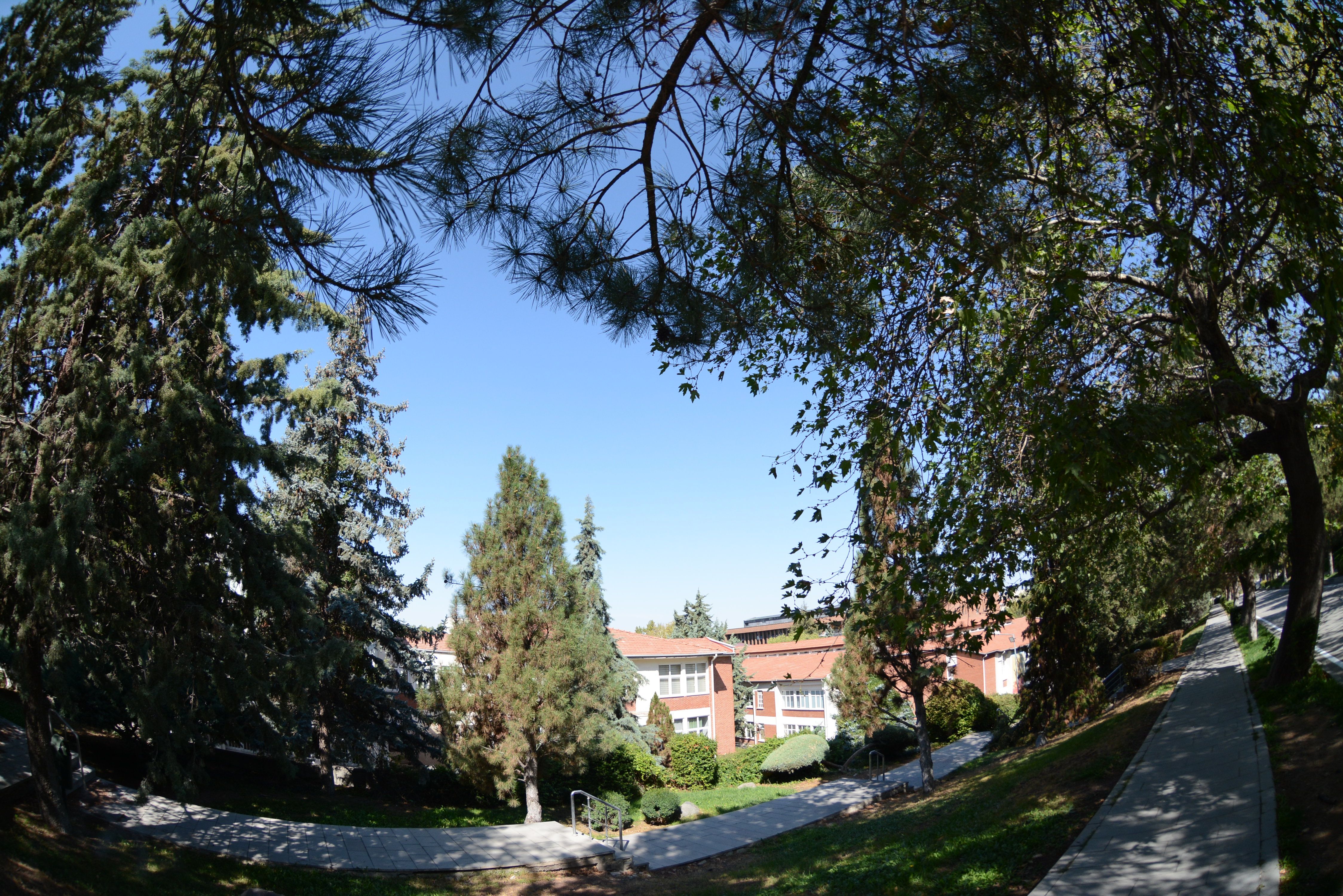 DSC_2794.JPG