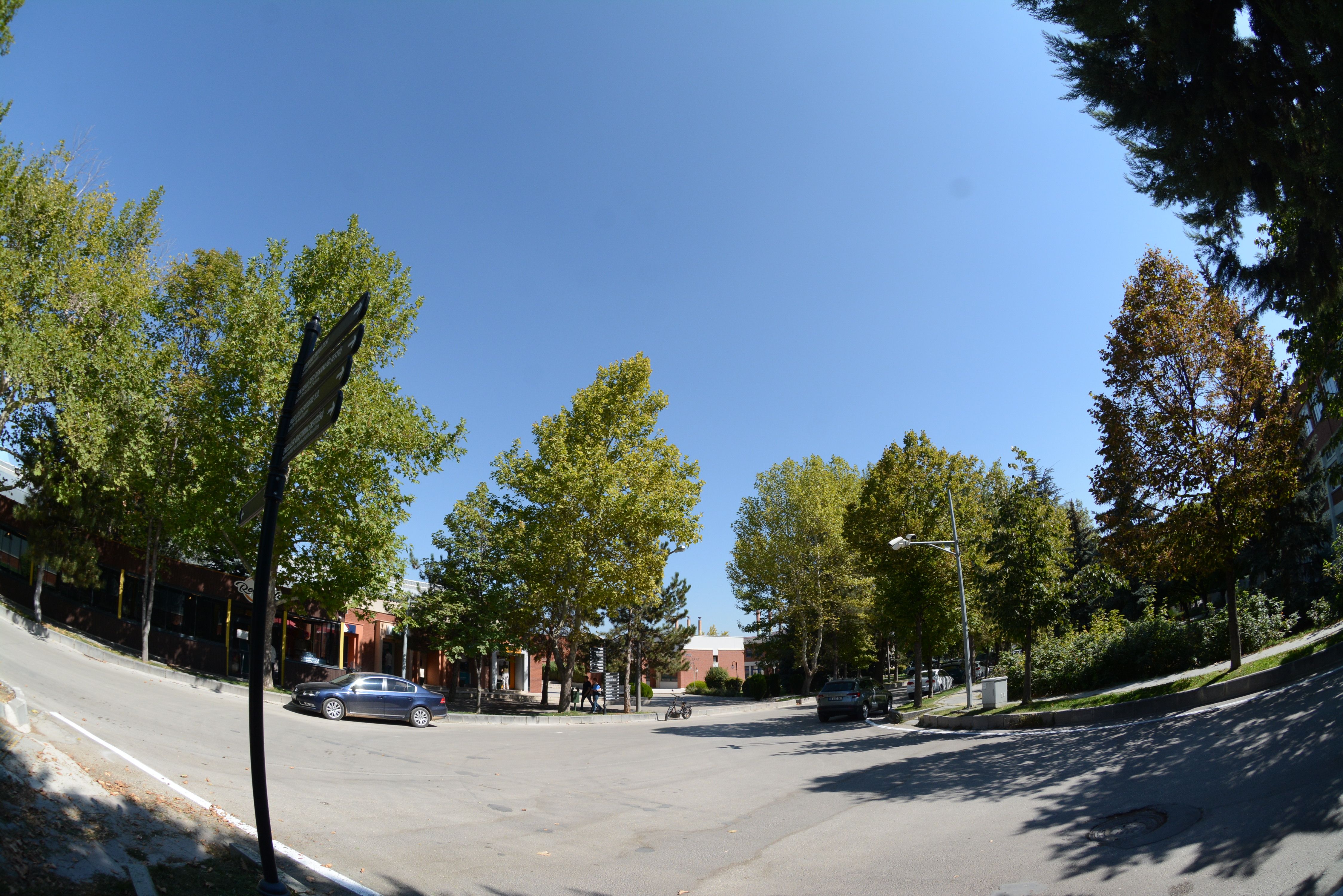 DSC_2846.JPG