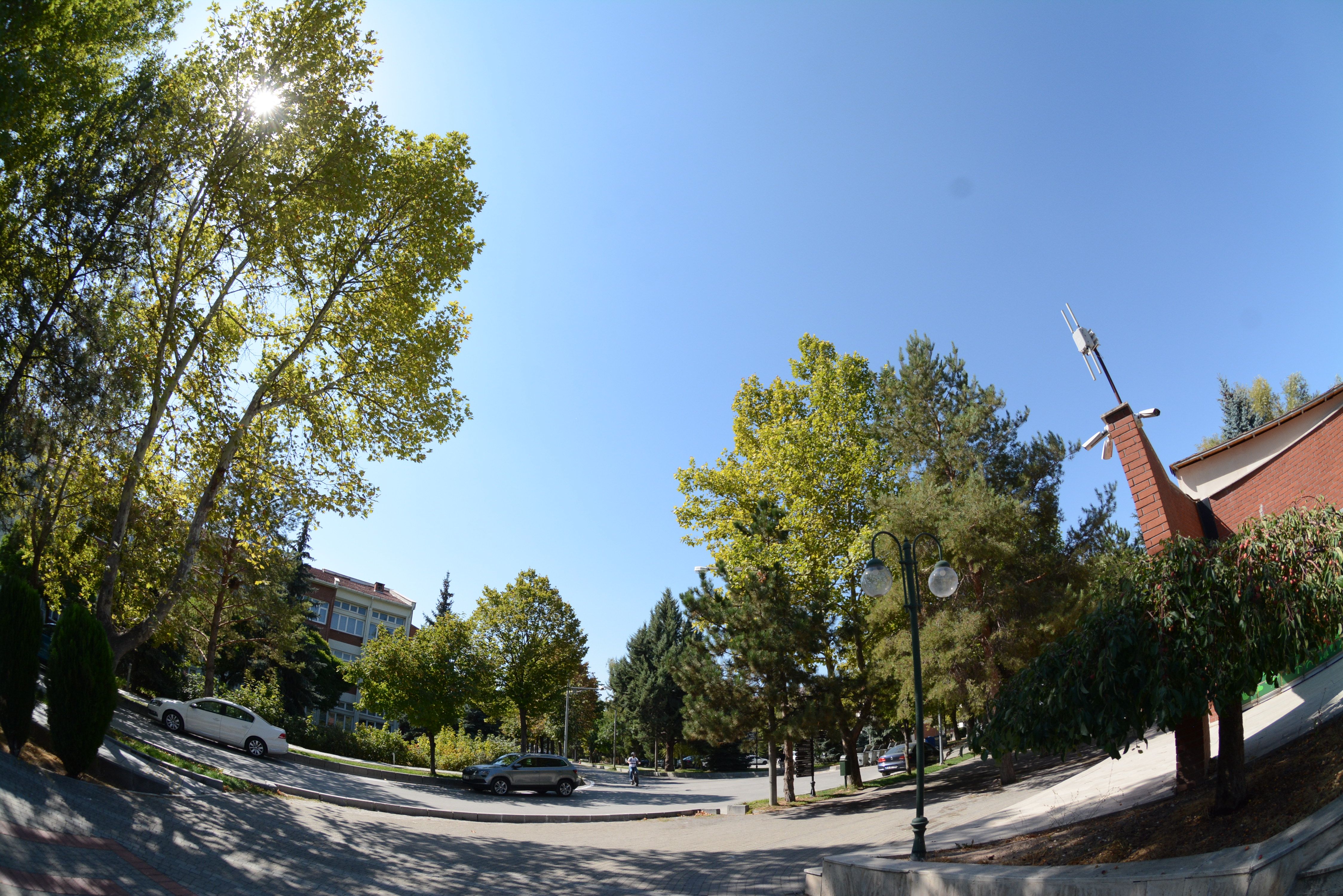 DSC_2893.JPG